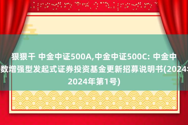 狠狠干 中金中证500A，中金中证500C: 中金中证500指数增强型发起式证券投资基金更新招募说明书(2024年第1号)