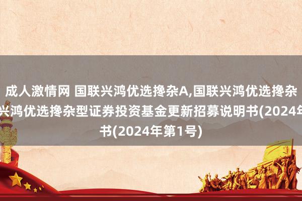 成人激情网 国联兴鸿优选搀杂A，国联兴鸿优选搀杂C: 国联兴鸿优选搀杂型证券投资基金更新招募说明书(2024年第1号)