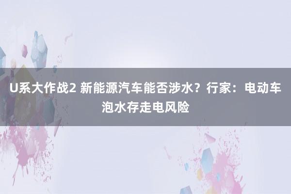 U系大作战2 新能源汽车能否涉水？行家：电动车泡水存走电风险