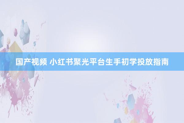 国产视频 小红书聚光平台生手初学投放指南