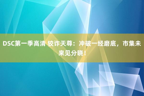 DSC第一季高清 狡诈天尊：冲破一经磨底，市集未来见分晓！