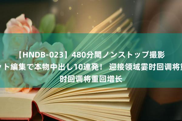 【HNDB-023】480分間ノンストップ撮影 ノーカット編集で本物中出し10連発！ 迎接领域霎时回调将重回增长