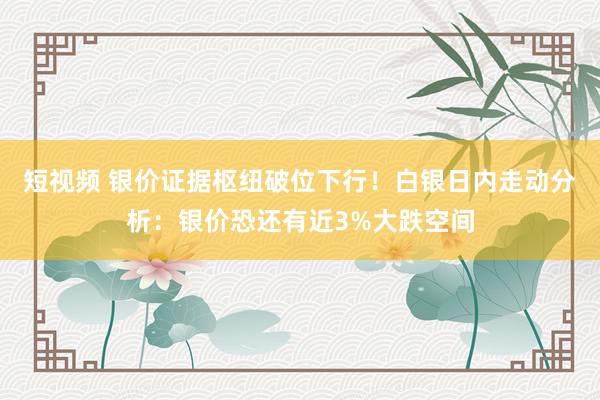 短视频 银价证据枢纽破位下行！白银日内走动分析：银价恐还有近3%大跌空间