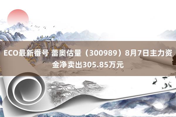 ECO最新番号 蕾奥估量（300989）8月7日主力资金净卖出305.85万元