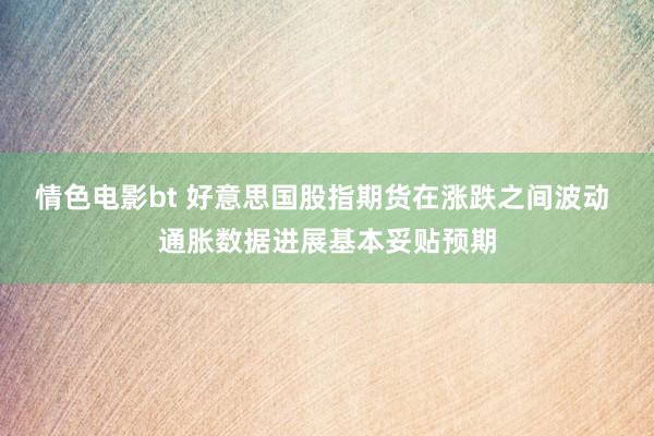 情色电影bt 好意思国股指期货在涨跌之间波动 通胀数据进展基本妥贴预期