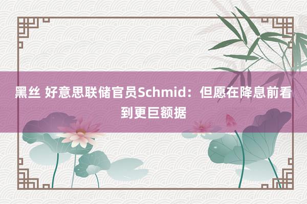 黑丝 好意思联储官员Schmid：但愿在降息前看到更巨额据