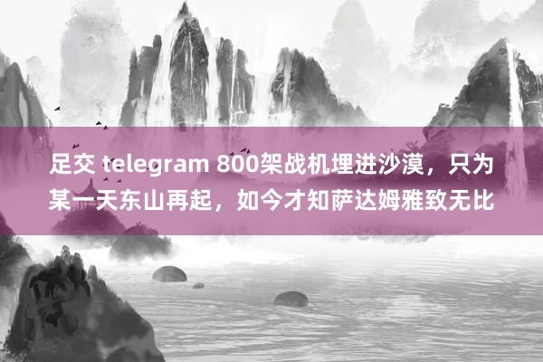 足交 telegram 800架战机埋进沙漠，只为某一天东山再起，如今才知萨达姆雅致无比