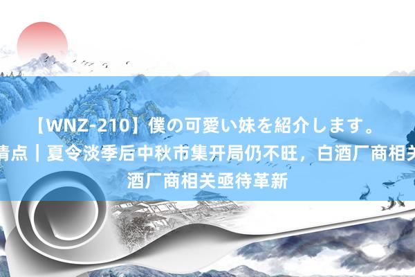 【WNZ-210】僕の可愛い妹を紹介します。 夏季摧毁清点｜夏令淡季后中秋市集开局仍不旺，白酒厂商相关亟待革新