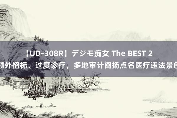 【UD-308R】デジモ痴女 The BEST 2 额外招标、过度诊疗，多地审计阐扬点名医疗违法景色