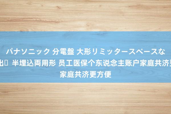 パナソニック 分電盤 大形リミッタースペースなし 露出・半埋込両用形 员工医保个东说念主账户家庭共济更方便