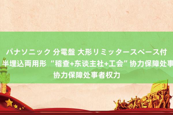 パナソニック 分電盤 大形リミッタースペース付 露出・半埋込両用形 “稽查+东谈主社+工会”协力保障处事者权力