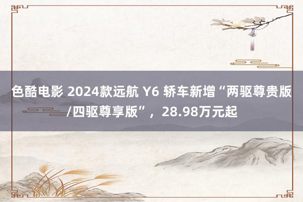 色酷电影 2024款远航 Y6 轿车新增“两驱尊贵版/四驱尊享版”，28.98万元起