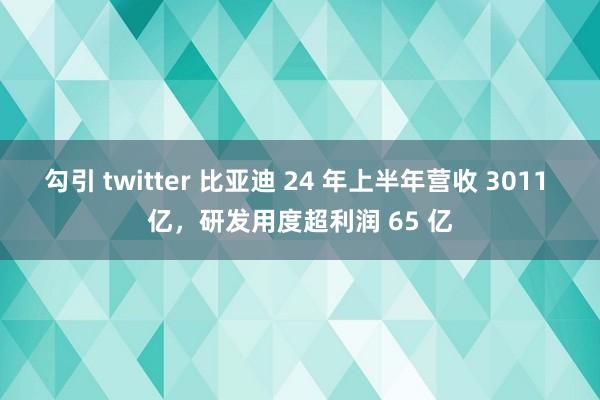 勾引 twitter 比亚迪 24 年上半年营收 3011 亿，研发用度超利润 65 亿