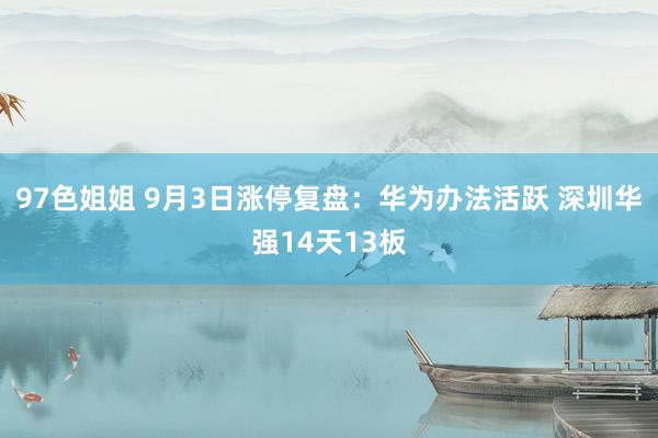 97色姐姐 9月3日涨停复盘：华为办法活跃 深圳华强14天13板